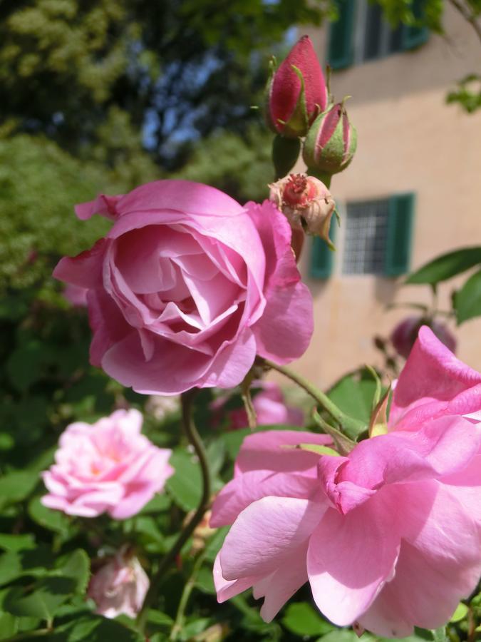Villa Pacinotti Pistoia Eksteriør bilde